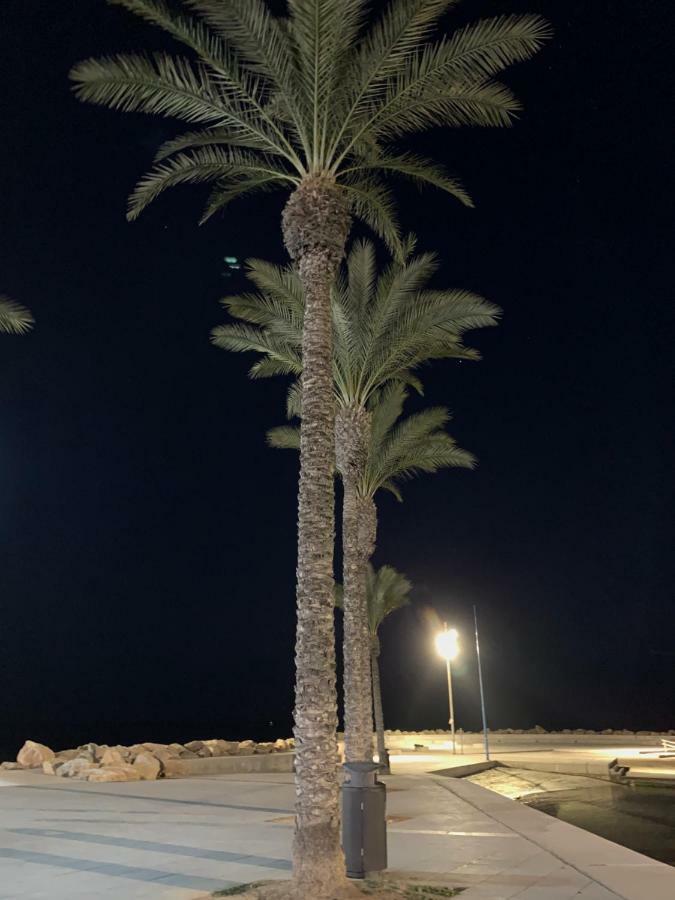Sunshine Apartment Torrevieja Luaran gambar